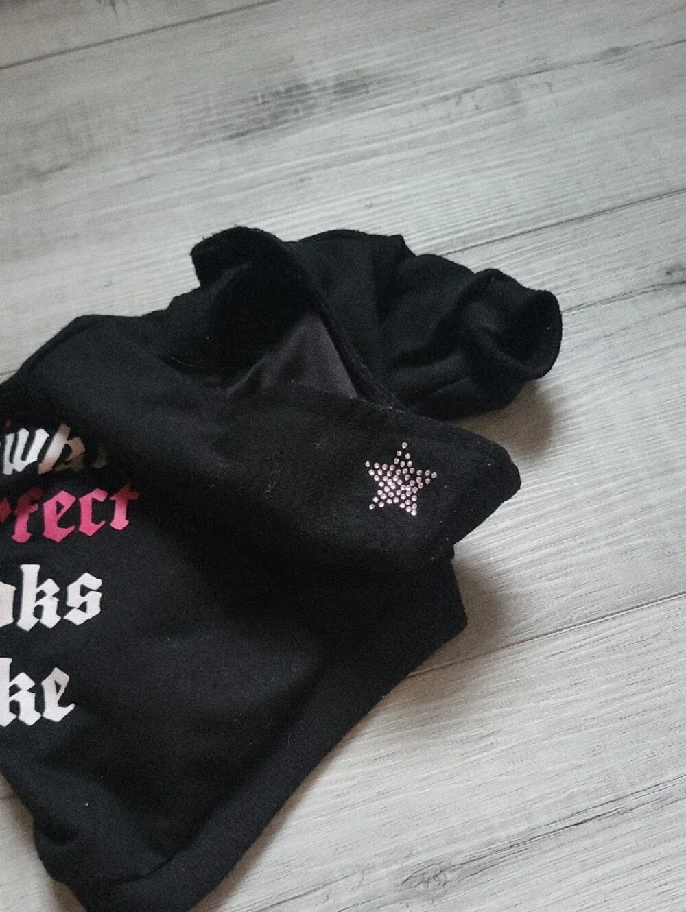 Velcro Dog Hoodie